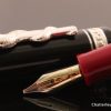 Delta Hippocratica Fountain Pen (3)