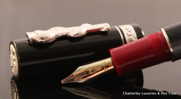 Delta Hippocratica Fountain Pen (3)