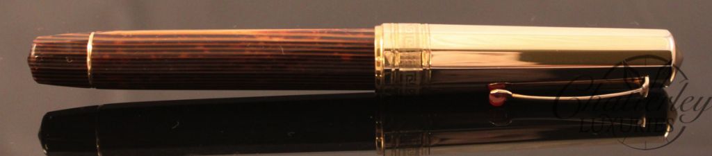 Omas Brown Arco Celluloid Fountain Pen (6)