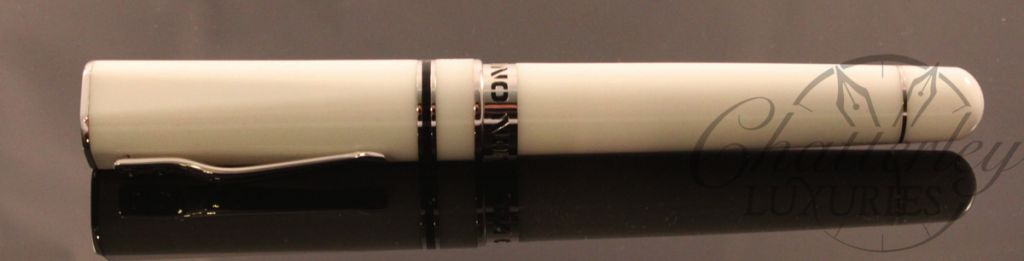Delta Fusion One ( 1 ) Fountain Pen in  White with Fusion Nib (4)