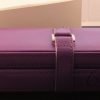 Pilot Vanishing Point Purple Fountain Pen (3)