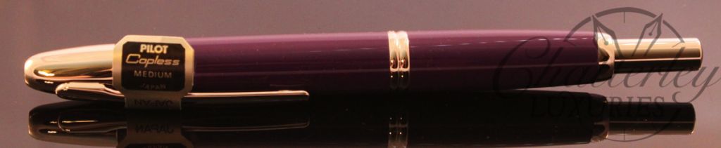 Pilot Vanishing Point Purple Fountain Pen (2)