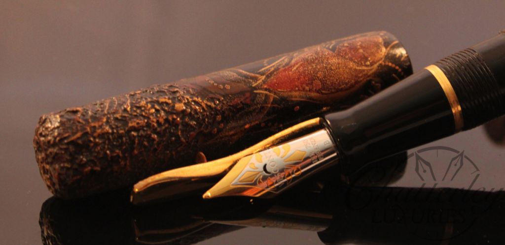 Hand Painted Voyager Meteor Fountain Pen (9)