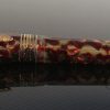 Stipula Faceted Etruria Limited Edition Ambrosia Celluloid Fountain Pen2