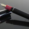 Delta Bribri Cartridge Convertor Fountain Pen