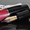 Delta Bri Bri Piston Filler Limited Edition Fountain Pen