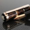 Montblanc Miguel de Cervantes Fountain Pen3