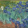 Irises-Vincent_van_Gogh