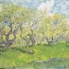 Van Gogh Orchard in Blossom