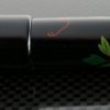 Danitrio "Urushi-e" Urushi WildFlowers Fountain Pen