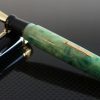 Delta Limited Edition Lugdunum Celebration Fountain Pen