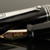 Delta Lugdunum Limited Edition Fountain Pen