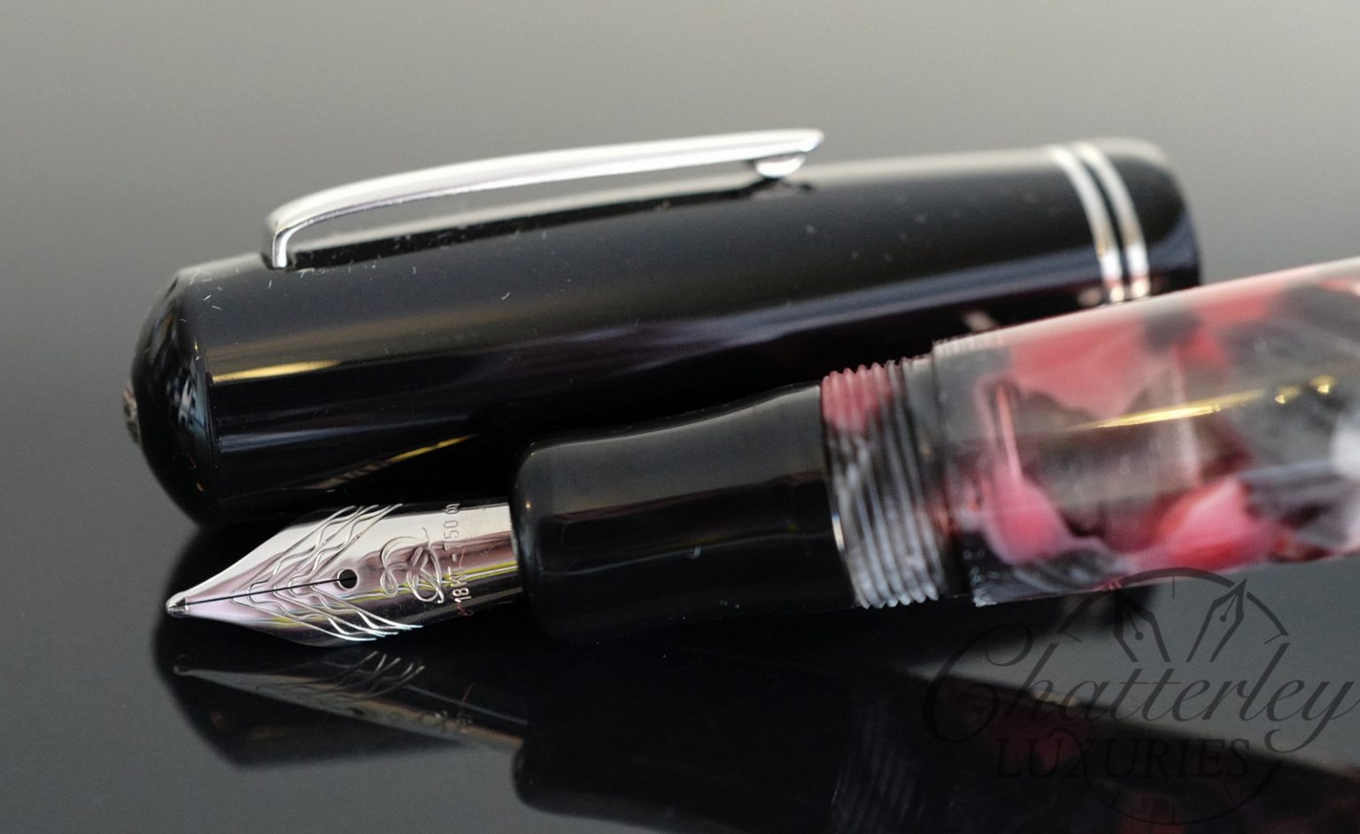 Delta 366 Fountain Pen