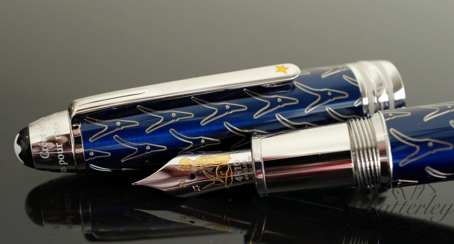 little prince fountain pen