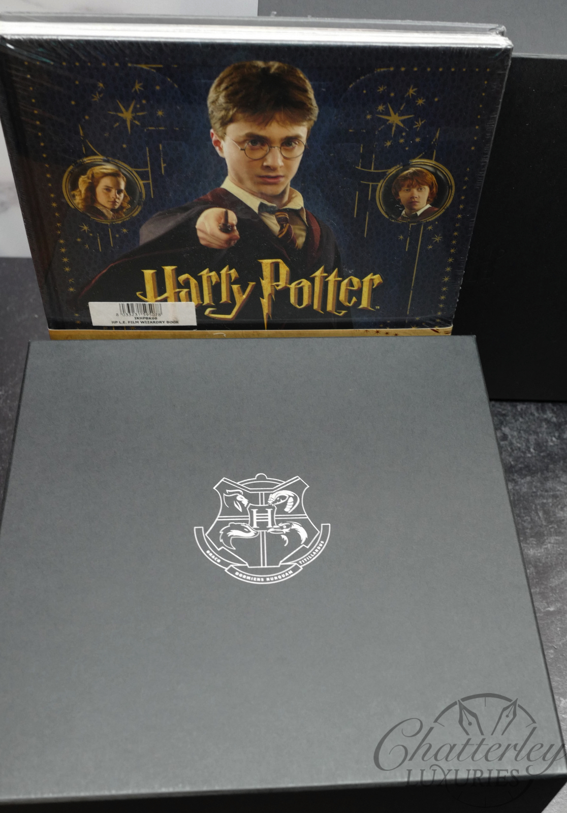 MONTEGRAPPA HARRY POTTER HOGWARTS SILVER Ltd EDITION FOUNTAIN PEN –  Exceptional Objects