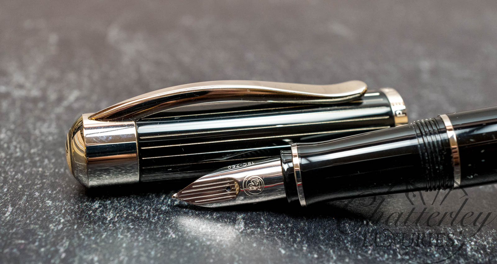 Pelikan Ductus P3100 Silver Fountain Pen