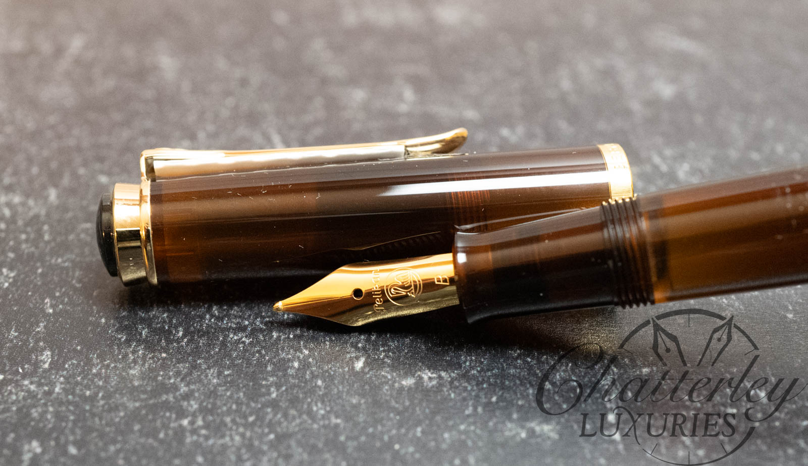 Montegrappa Harry Potter Open Edition Fountain Pens - Chatterley