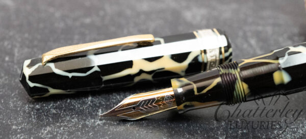 Omas Galileo "Year of Light" Limited Edition Fountain Pen