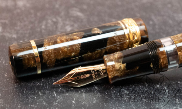 Delta x IZODS Cinque Terre Manarola Limited Edition Fountain Pen