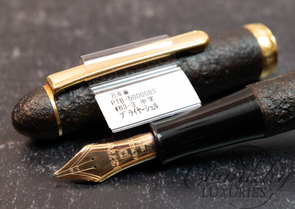 Platinum #3776 Briar Sandblasted Shell Fountain Pen