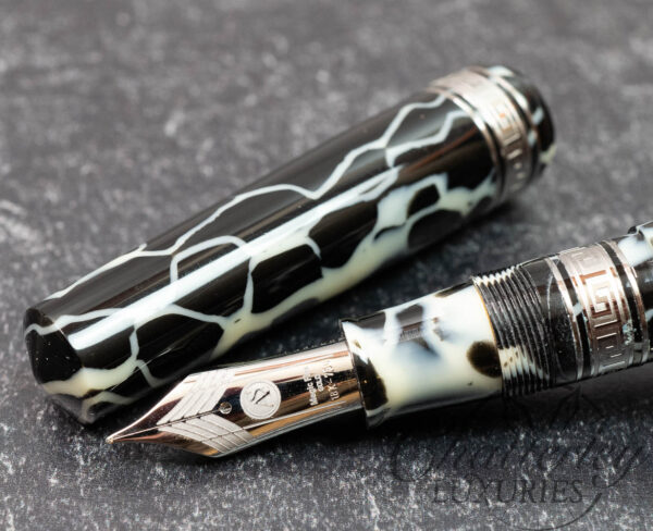 Armando Simoni Club Bologna Extra Wild Limited Edition Celluloid Fountain Pen with Silver Trim