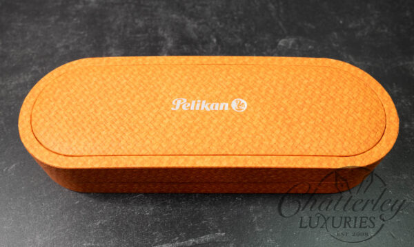 Pelikan M640 Sahara Special Edition Fountain Pen - Image 4