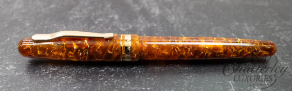 Delta Chatterley Fusion 82 Celluloid Limited Edition Fountain Pen - Image 2