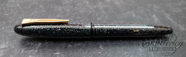 Platinum Izumo Raden Galaxy Fountain Pen - Image 2