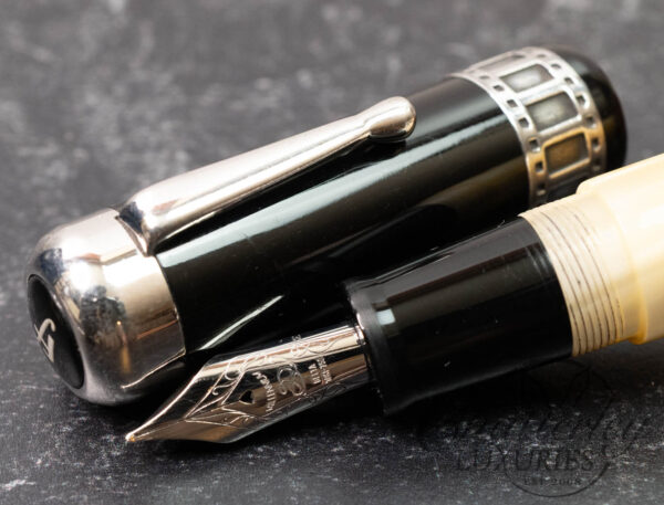 Delta Federico Fellini Limited Edition Fountain Pen
