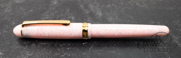 Platinum Century 3776 Cherry Blossom Celluloid Fountain Pen - Image 2