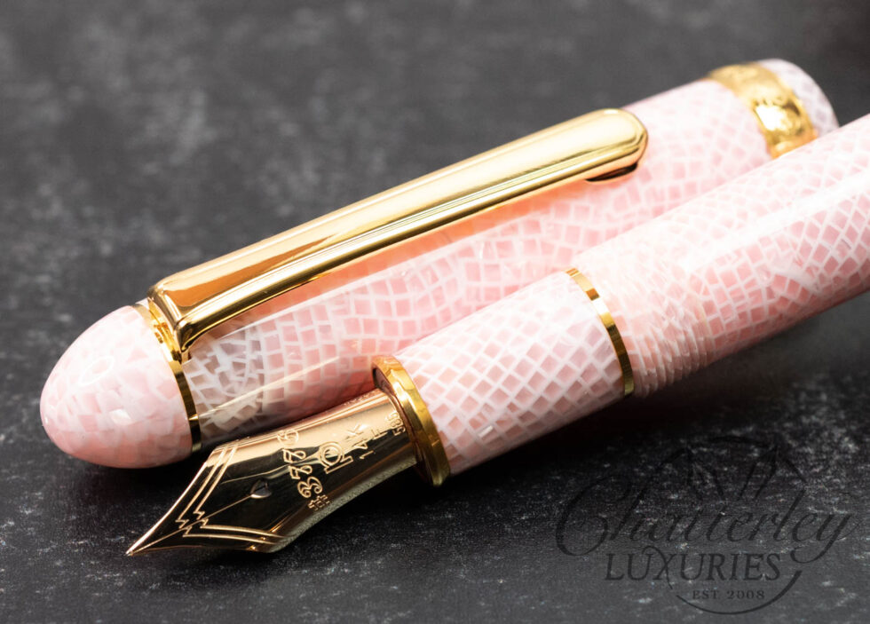 Platinum Century 3776 Cherry Blossom Celluloid Fountain Pen