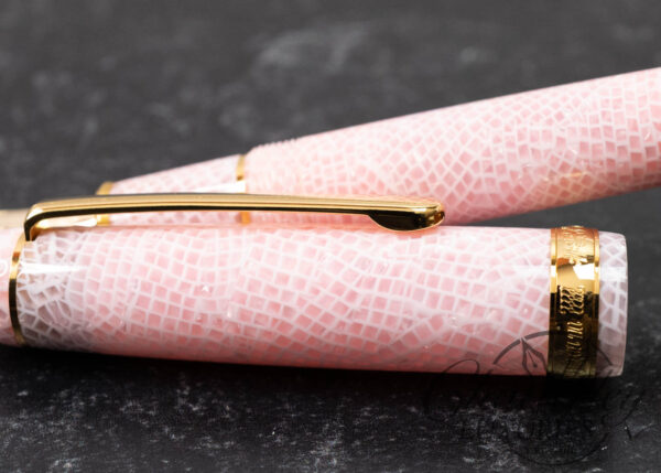 Platinum Century 3776 Cherry Blossom Celluloid Fountain Pen - Image 3