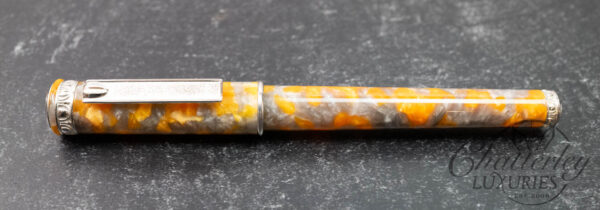 Signum Ornamenta Grey Yellow Fountain Pen - Image 2