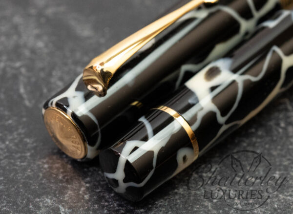 Armando Simoni Club Bologna Medio Wild Celluloid Fountain Pen - Image 4