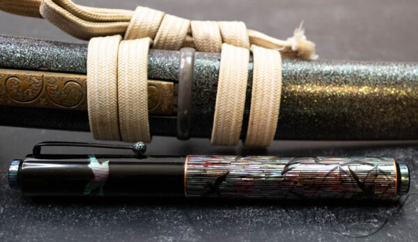 AP Limited Editions Flight of the Seagulls Fountain Pen - Image 14