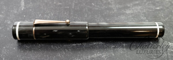 Bexley Giant Pen Platinum Grey #12 Nib Fountain Pen - Image 3