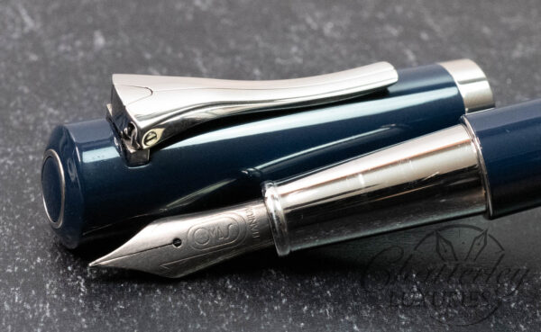 Omas Emotica Blue Fountain Pen