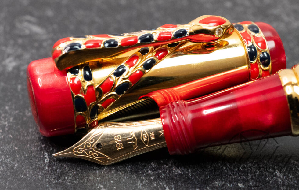 Ancora Coral Snake Limited Edition Fountain Pen