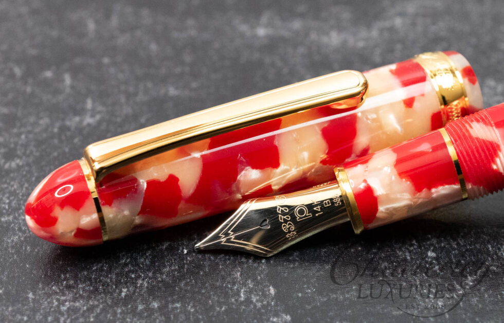 Platinum 3776 Koi Celluloid Fountain Pen
