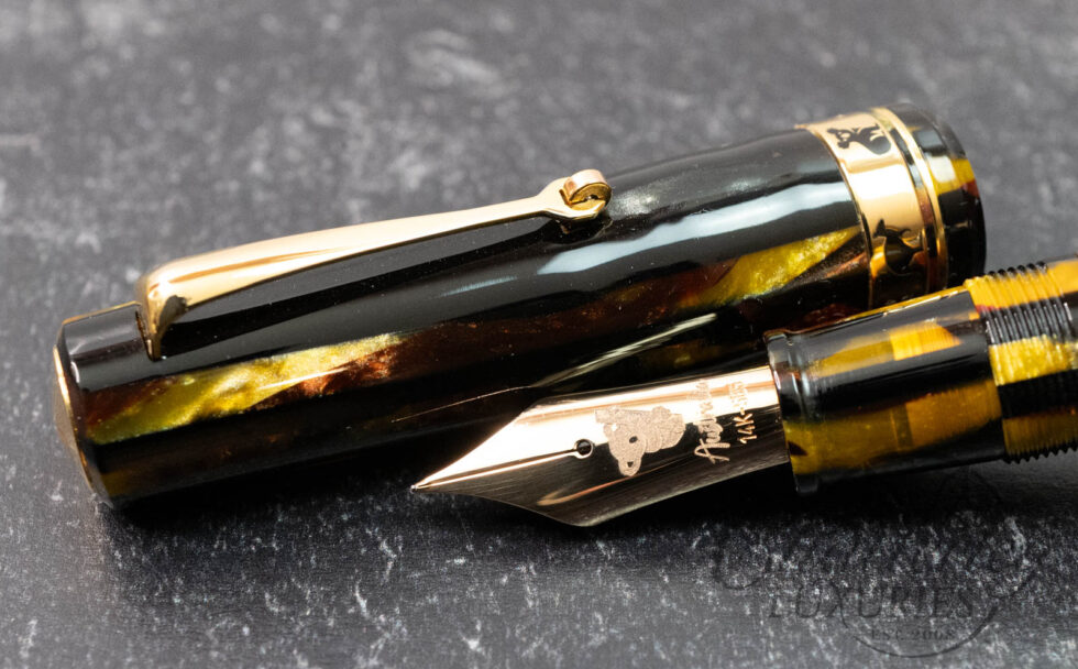 Armando Simoni Club Bologna Australian Series Daintree Fountain Pen LE #1/50