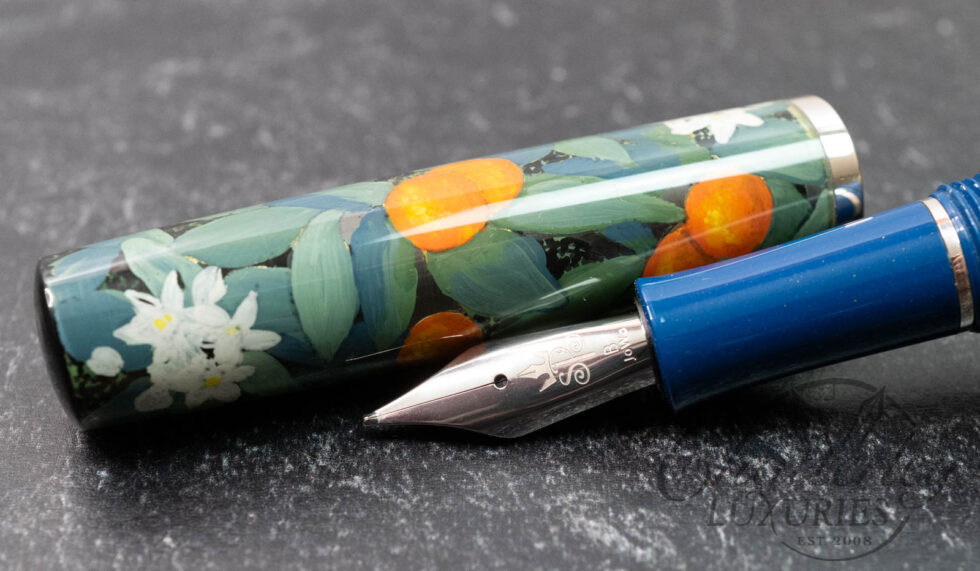 Stanford Pen Studio Jabulani Birds & Fruit Painted Fountain Pen
