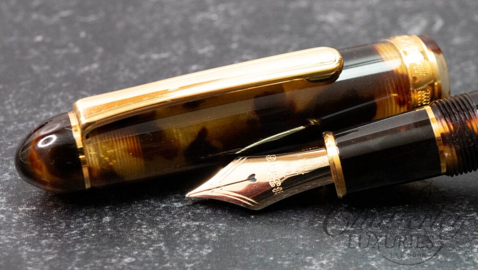 Platinum #3776 Century Tortoise Celluloid Fountain Pen