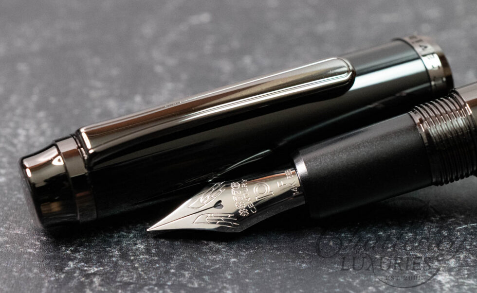 Platinum Century #3776 Travia “FLAF” Nib Fountain Pen